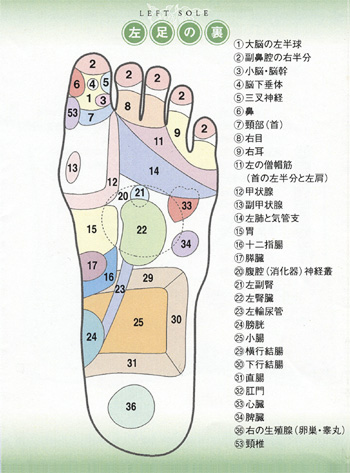 足裏マッサージorリフレクソロジー ホットペッパー 東京